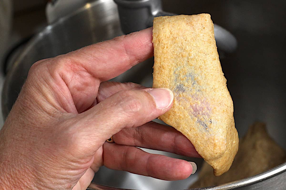 A hand holding a piece of stretched bread dough.